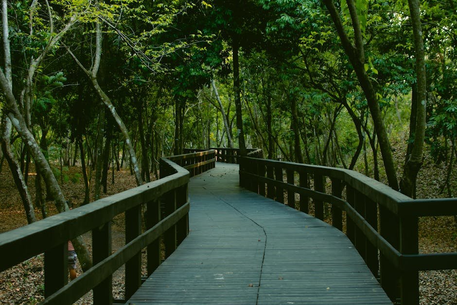 A tranquil wooden walkway winding through a dense green forest, evoking a sense of peace and nature.
