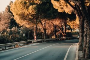 Tranquil road surrounded by autumn trees in Urla, Izmir, at golden hour. Perfect for nature and travel themes.