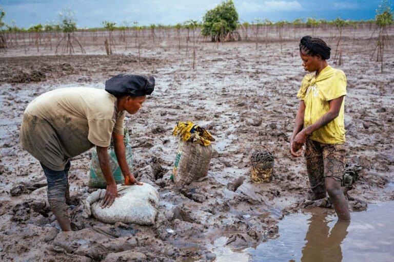 Two women harvesting in a muddy field, showcasing rural labor and resilience.