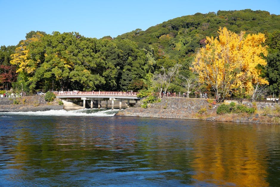 Free stock photo of 2025, autumn, colors