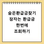 숨은환급금찾기 잠자는 환급금 한번에 조회하기