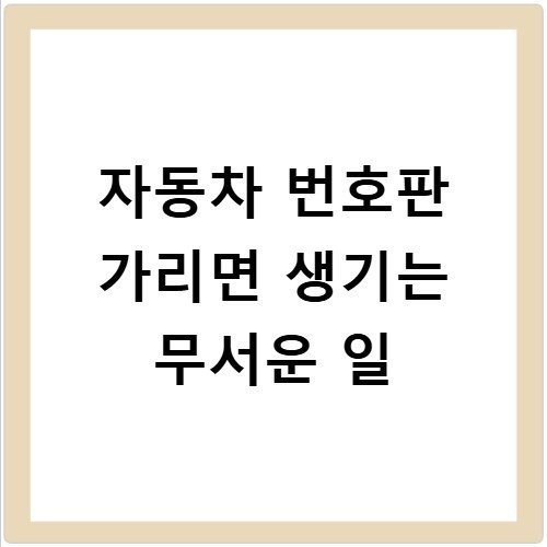 자동차 번호판 가리면 생기는 무서운 일