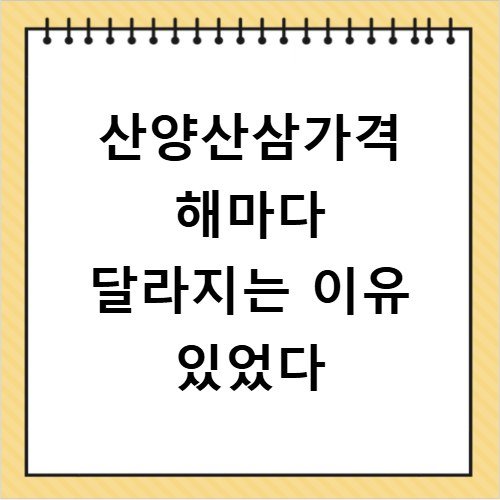 산양산삼가격 해마다 달라지는 이유 있었다