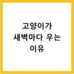 고양이가 새벽마다 우는 이유
